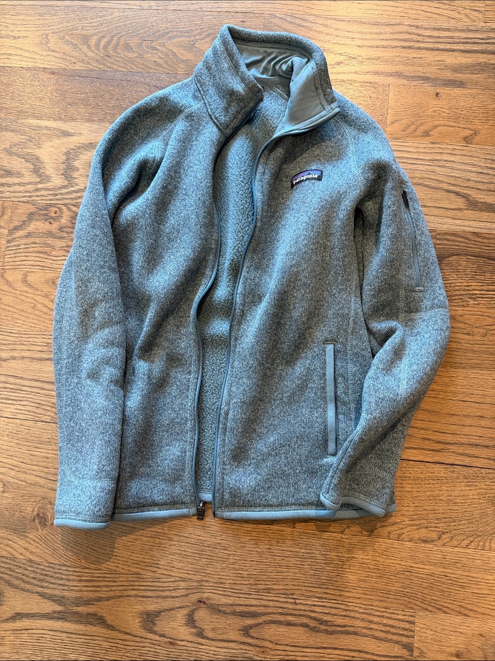 Patagonia Light Gray Full-Zip Fleece Jacket
